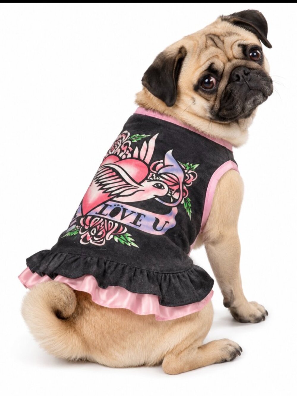 EAST SIDE COLLECTION Dog Dress Size Small Tattoo Like Design Pug Boston Terrier